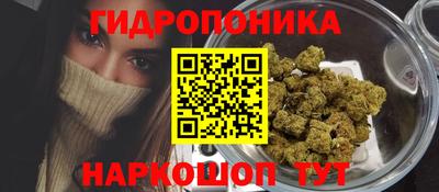 эйфоретик Обь