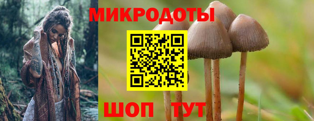 наркотики  Галлюциногенные грибы MAGIC MUSHROOMS  Вход с VPN  Галлюциногенные грибы прущие грибы  Белебей 