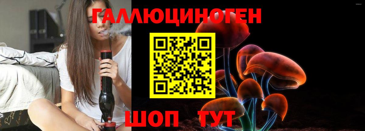 Галлюциногенные грибы Psilocybine cubensis Белебей